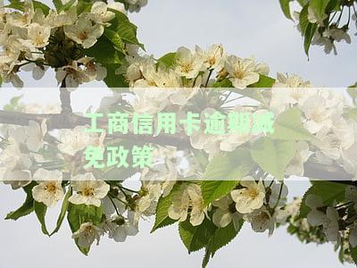 工商信用卡逾期减免政策最新通知及后果解析