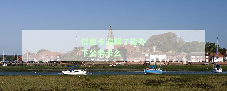 信用卡逾期了能办下公务卡么