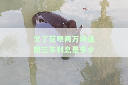 花呗借了3万逾期两年如何处理？