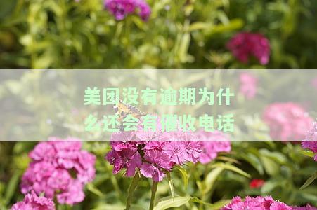 没在美团借钱,为什么会收到美团催收