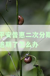 平安普惠二次分期逾期了怎么办