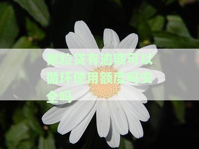 微粒贷逾期还清后是否还可以循环使用额度及对征信的影响