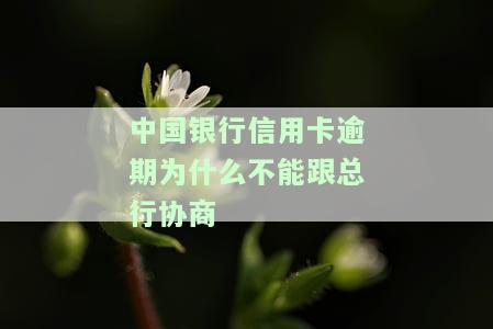 中国银行信用卡逾期为什么不能跟总行协商还款，逾期了怎么办，新法规