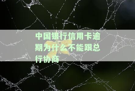 中国银行信用卡逾期为什么不能跟总行协商