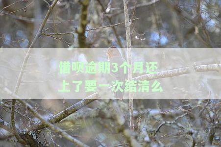 借呗逾期3个月还上了要一次结清么