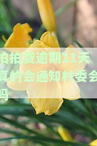 拍拍贷逾期11天真的会通知村委会吗