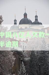 中国八亿人欠款一半逾期