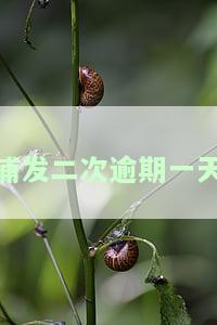 浦发二次逾期一天
