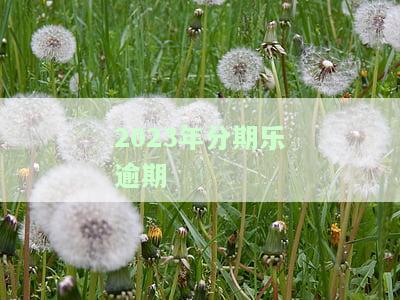2023年分期乐逾期