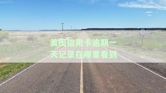 美团信用卡逾期一天记录在哪里看到