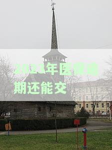 医保逾期可以交吗，怎么交？能补缴吗？