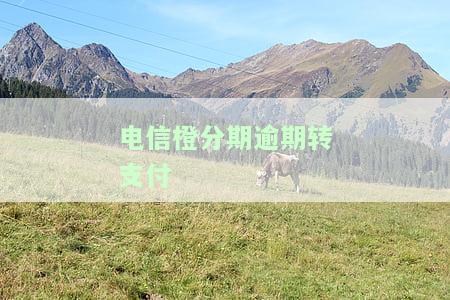 电信橙分期逾期影响征信多久正常还款对征信有影响吗