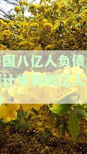 中国八亿人负债,预计将有四亿人逾期