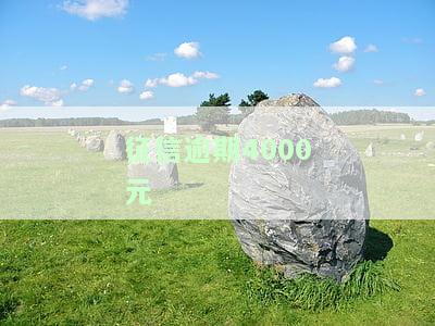 征信逾期4000元