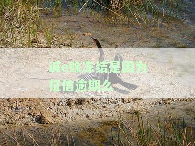 诚e赊冻结多久会恢复