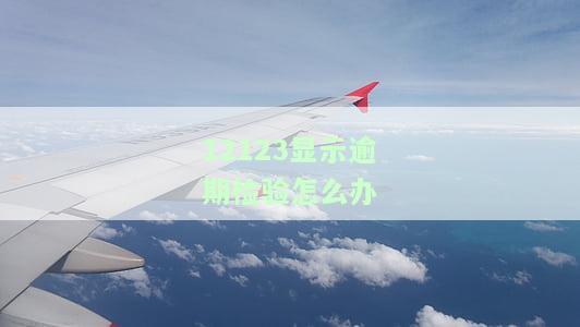12123显示逾期检验怎么办