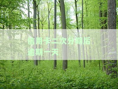 信用卡二次分期后逾期一天