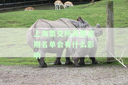 上海商票交易所官网、地址、电话