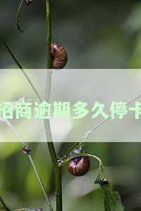 招商逾期多久停卡