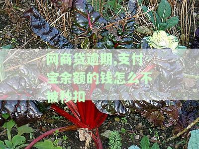 网商贷逾期,支付宝余额的钱怎么不被秒扣