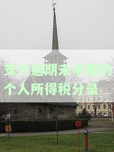 支付逾期未申报的个人所得税分录