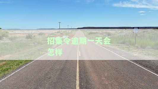 招集令逾期一天会怎样