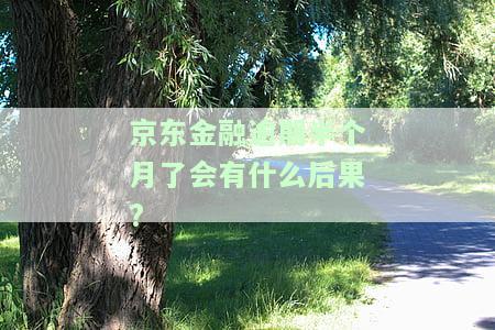京东金融逾期一个多月了会有什么后果，还清款后会恢复征信吗？