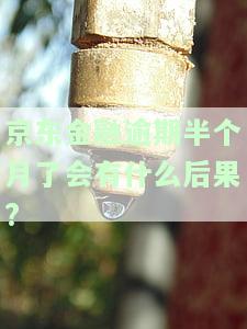京东金融逾期半个月了会有什么后果?