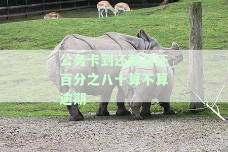 公务卡还款期限超了会怎么样处理及影响