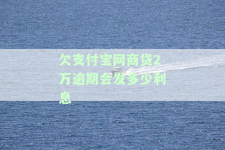 网商贷逾期两万多会被起诉并拍卖房子吗？