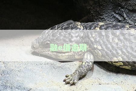 融e借逾期