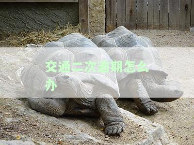 交通逾期两天会不会上征信记录