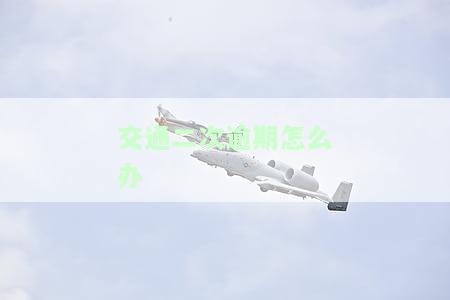交通违法二次处罚制度及处理方法