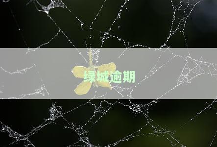 绿城负面新闻事件及影响（长度为35个字节）
