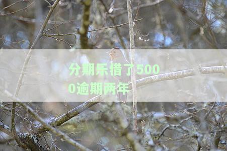 分期乐逾期两年利息特别多怎么办及相关问题解答