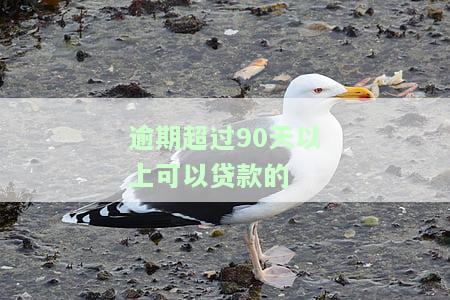 逾期超过90天以上可以贷款的