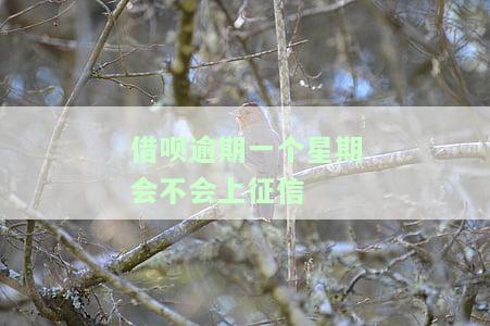 借呗逾期一个星期会不会上征信