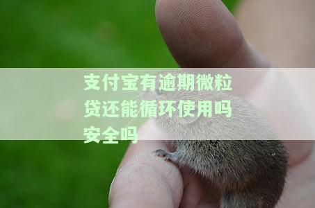 支付宝逾期微粒贷有影响吗？如何处理？