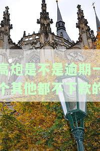 高炮贷款不还会怎么样催收及严重后果？