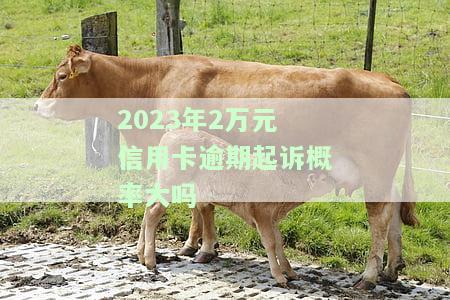 2023年2万元信用卡逾期起诉概率大吗视频：2020年逾期2万元会被起诉吗？