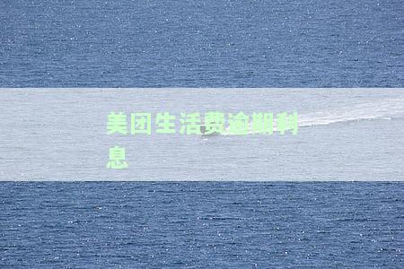 美团生活费逾期了,有在还款会起诉吗，安全吗？