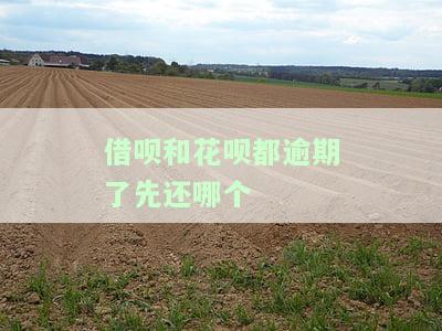 借呗和花呗都逾期了先还哪个