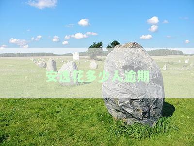 安逸花多少人逾期