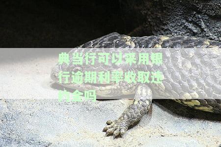 典当逾期利息的限制及转让情况