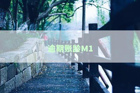 逾期账龄m是什么意思及如何划分
