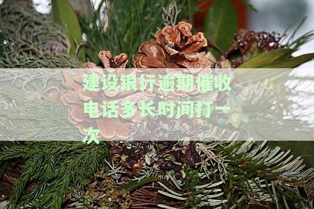 建设银行逾期催收电话多长时间打一次
