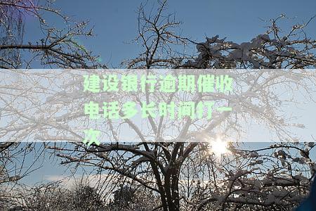 建设银行逾期催收电话多长时间打一次