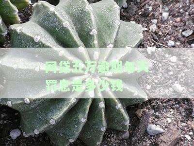 网贷五万逾期每天罚息是多少钱啊如何计算及应对？