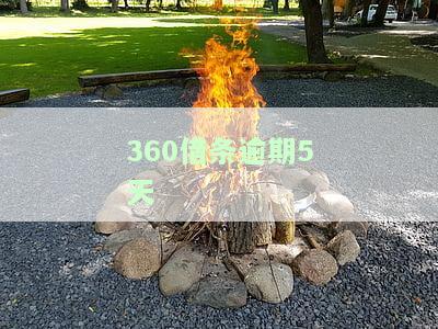 360借条逾期5天