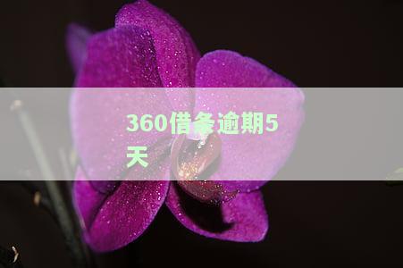 “逾期5天工作员私自加微信催款可以吗”